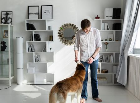 Calitatea aerului interior: cum sa iti protejezi casa si sanatatea prin echilibru